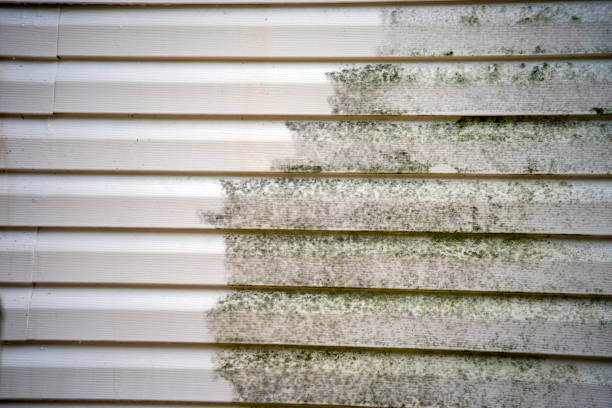 How To Choose The Right Materials for Your Siding Installation in 'Cloverport, KY